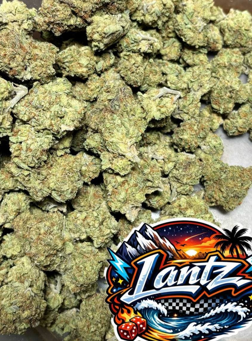 Dense green cannabis flower buds clustered together with a vibrant "Lantz" brand logo sticker.