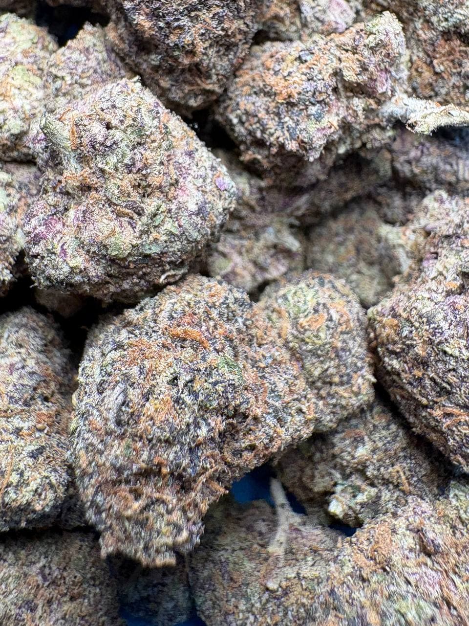 Close-up of dense purple and green cannabis buds with orange hairs and frosty white trichomes.